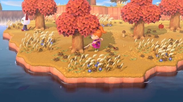 Animal Crossing: New Horizons 4