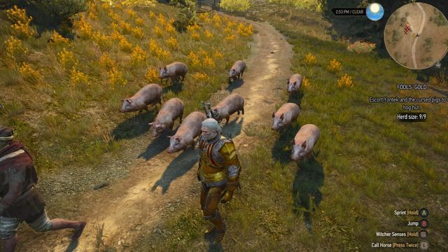 The Witcher 3: Wild Hunt - New Quest 'Fool's Gold' 2