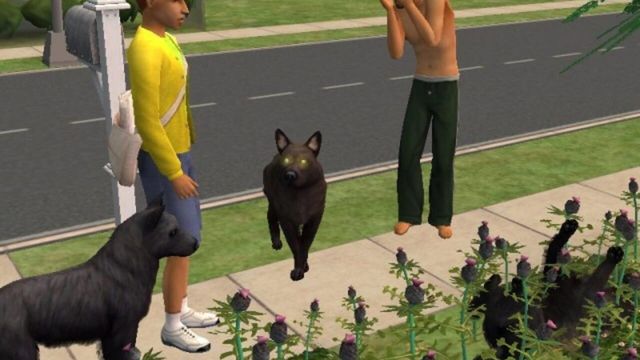 The Sims 2: Pets 3