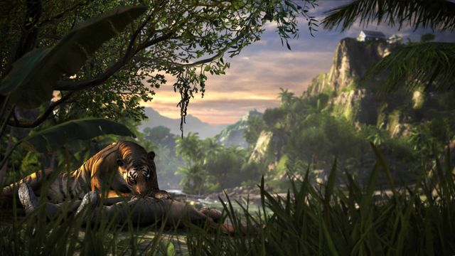 Far Cry 3 5